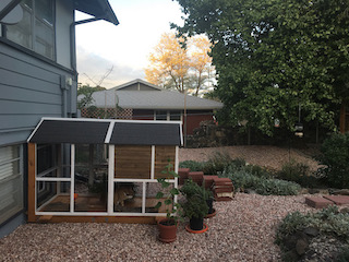 Catio Side View